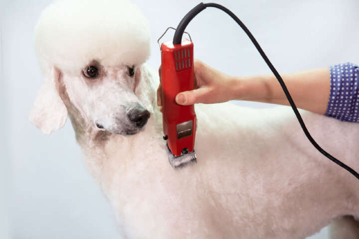 AESCULAP Schermaschine Favorita II